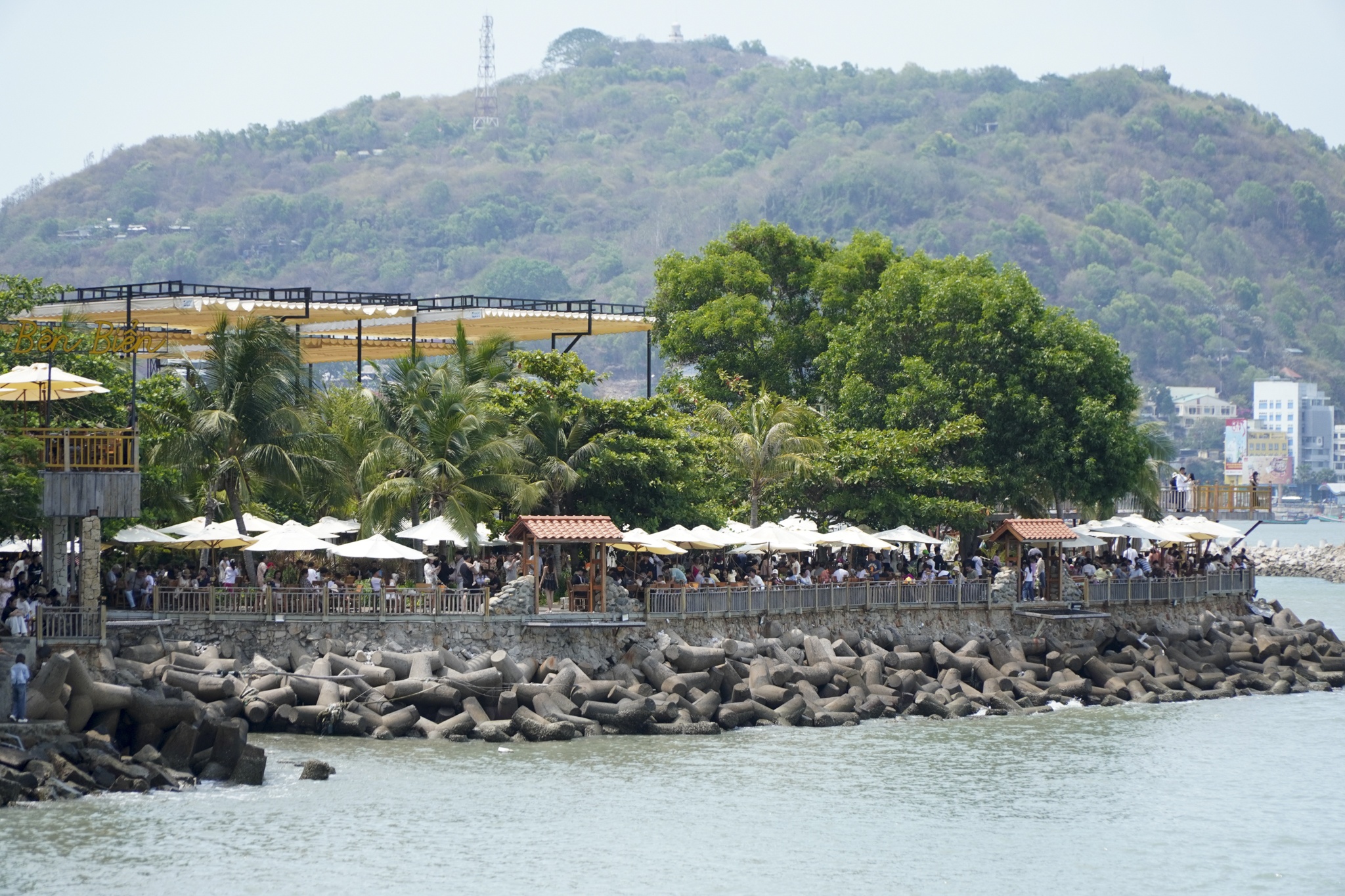 vung tau anh 1