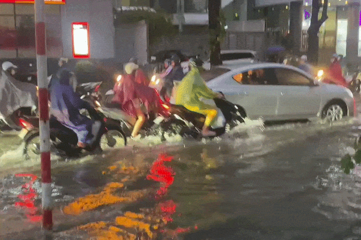 Duong pho Ha Noi hoa song sau con mua 'vang' hinh anh