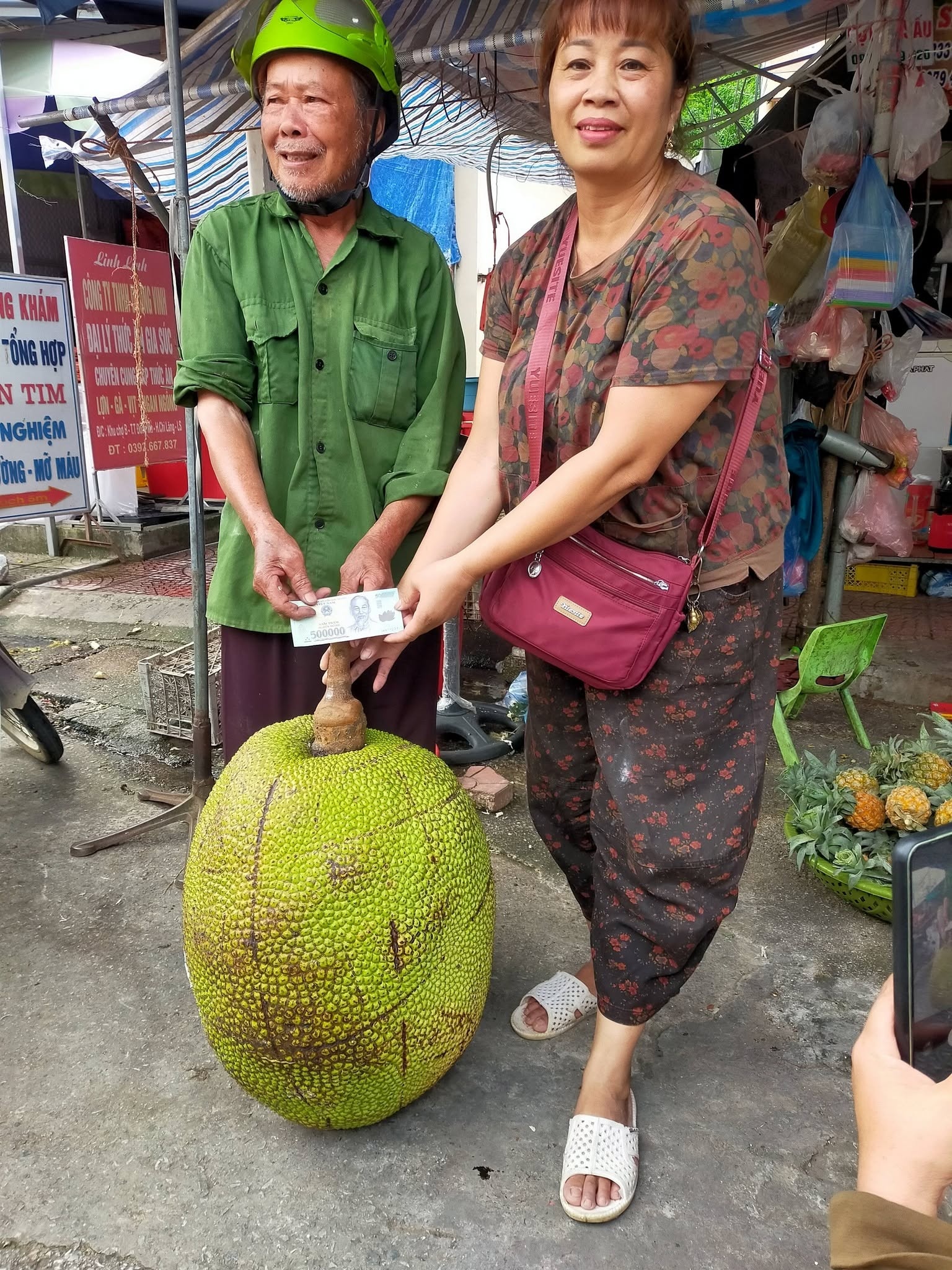 mit anh 2