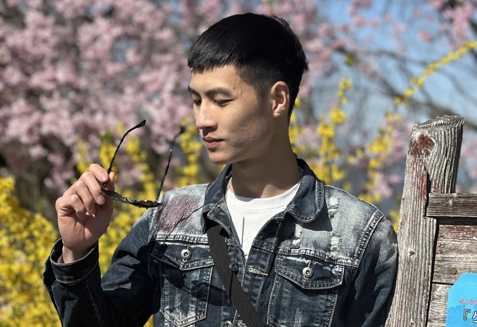 hiến t&oacute;c ảnh 2