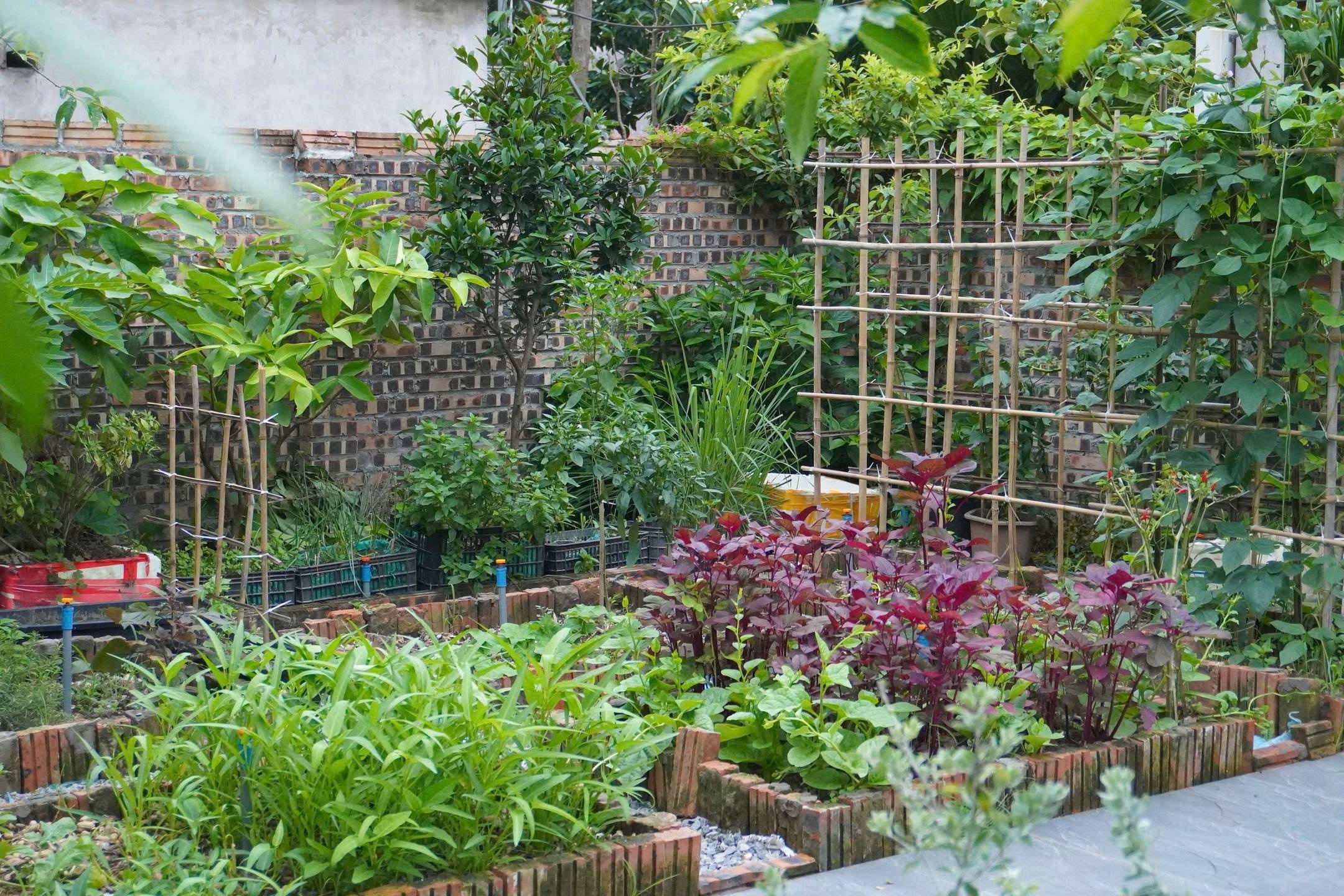 bỏ phố ảnh 3 bỏ phố ảnh 3