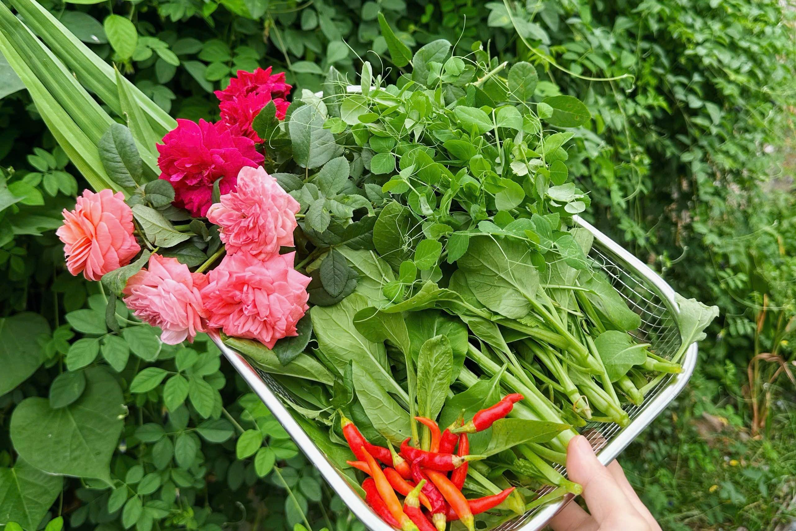bỏ phố ảnh 6 bỏ phố ảnh 6