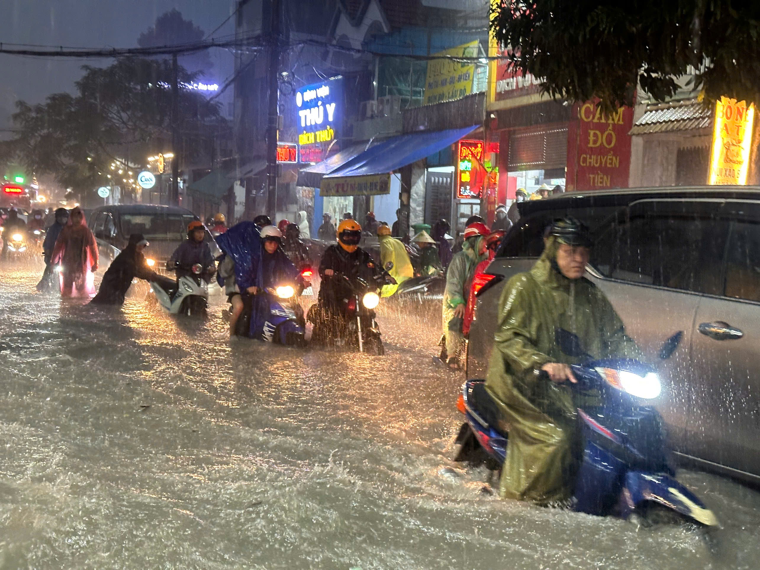 mưa lớn ảnh 1