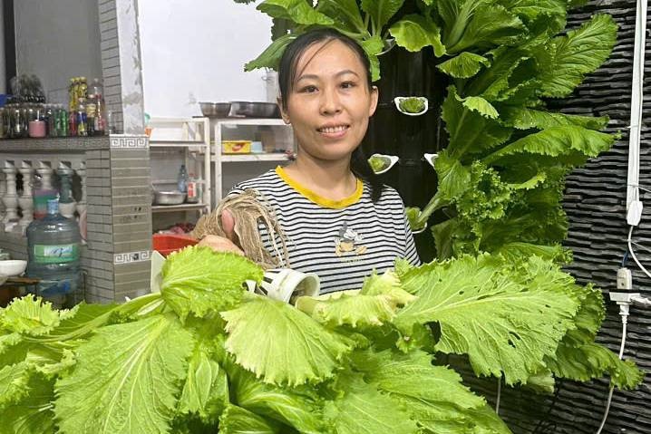 Chủ quán bánh xèo TP.HCM chi 100 triệu làm vườn rau cho khách tự hái