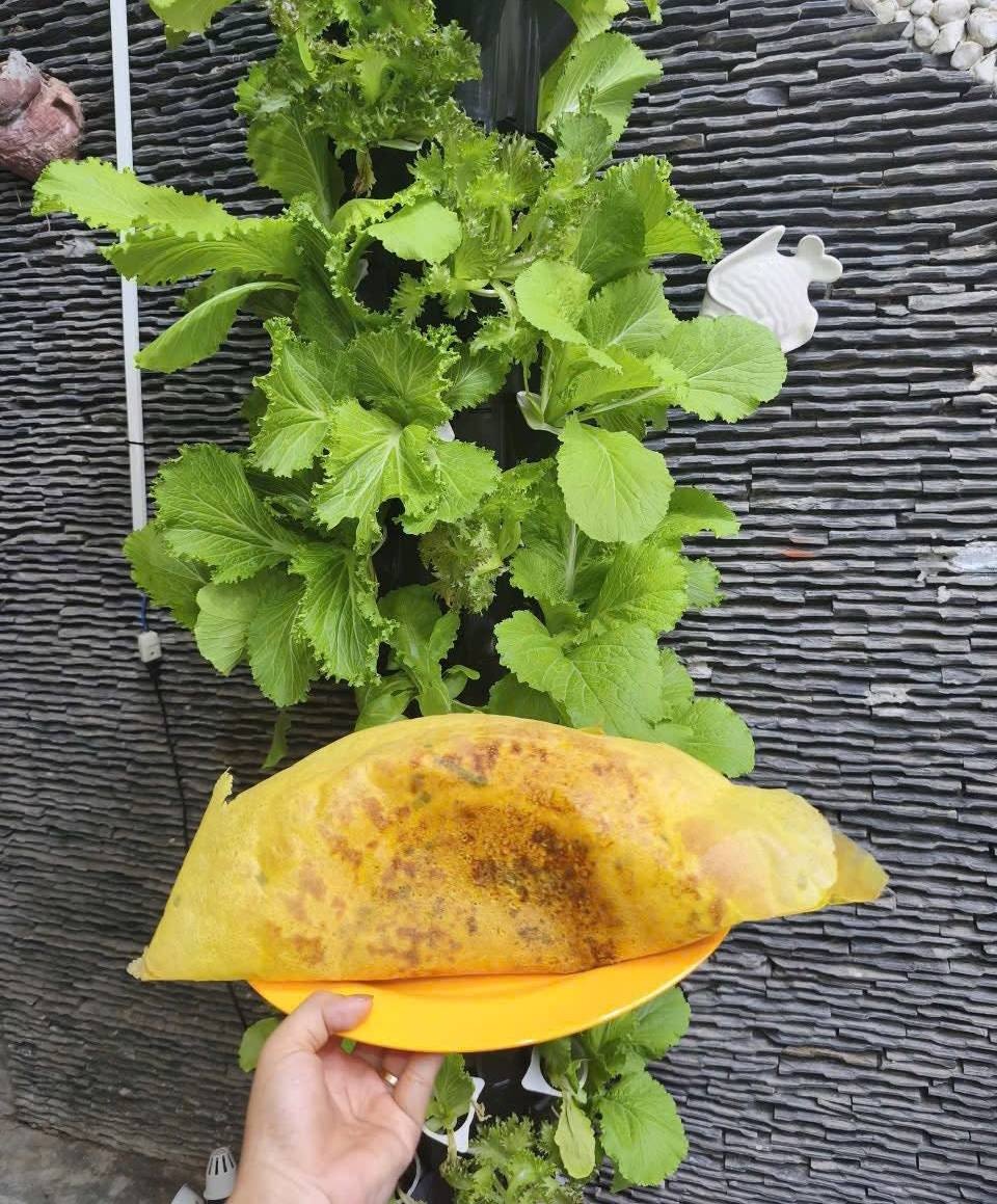 bánh xèo ảnh 5 bánh xèo ảnh 5
