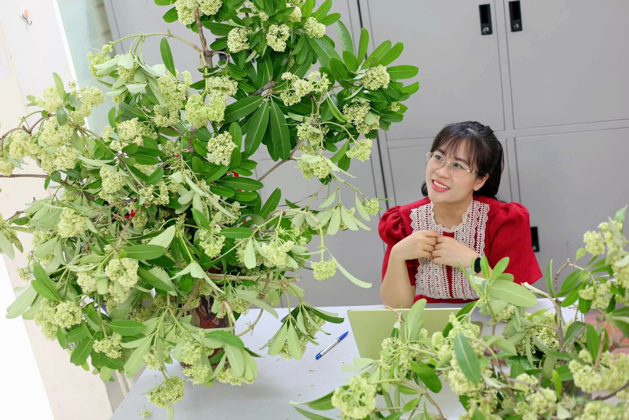 hoa sữa ảnh 5