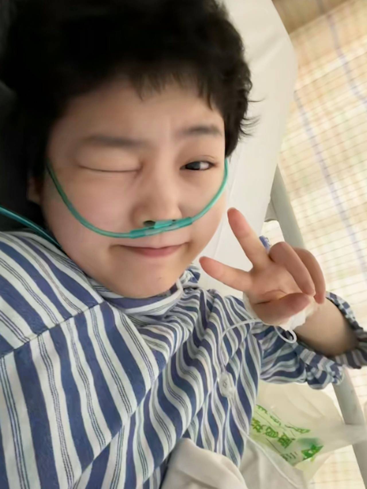 hạ hạ ảnh 2 hạ hạ ảnh 2
