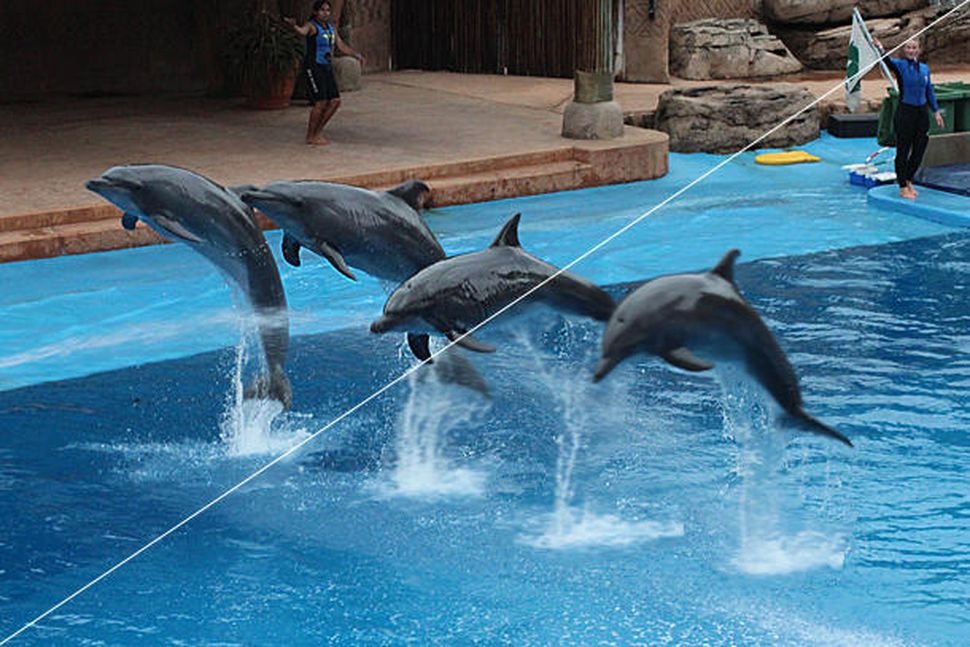 tu van mua tv 2019 anh 9