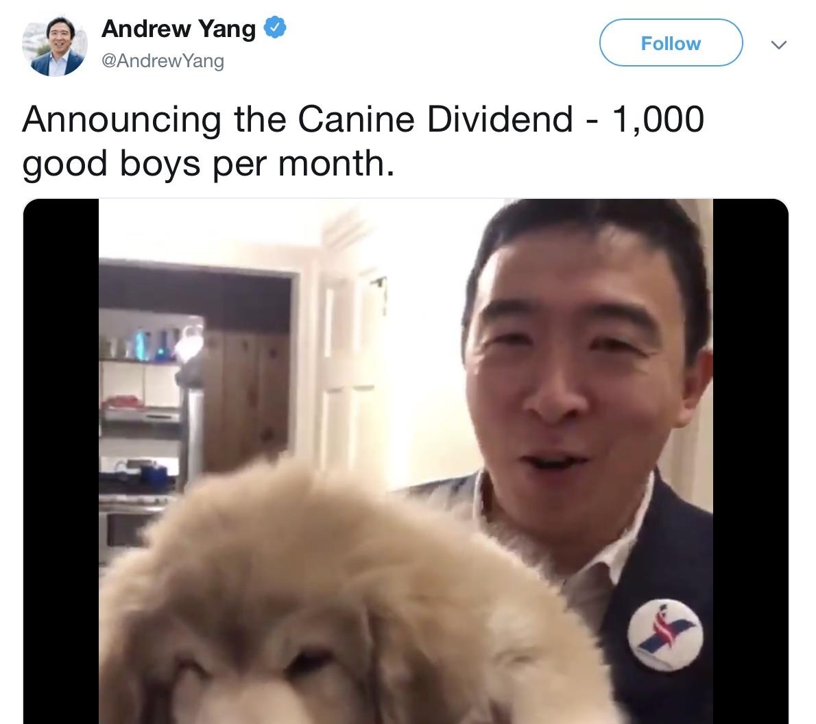 Ung vien tong thong my tan dung internet the nao anh 4