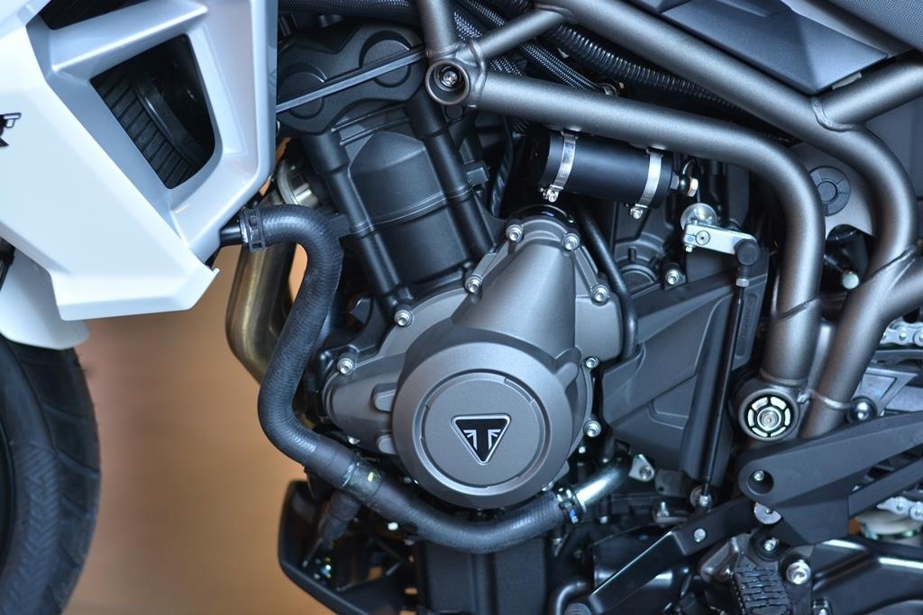 Can canh Triumph Tiger 800 2019 anh 9