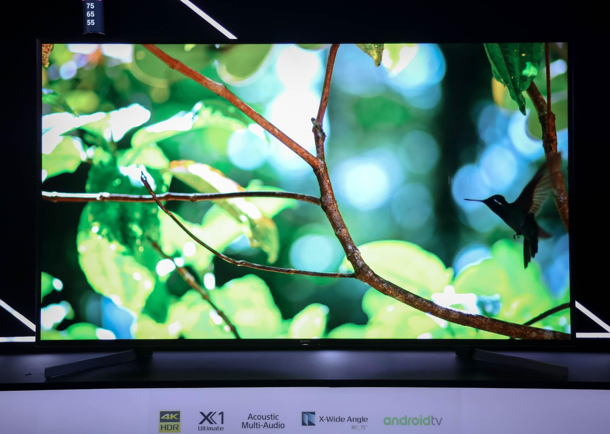 tv sony bravia 2019 ra mat tai viet nam anh 4