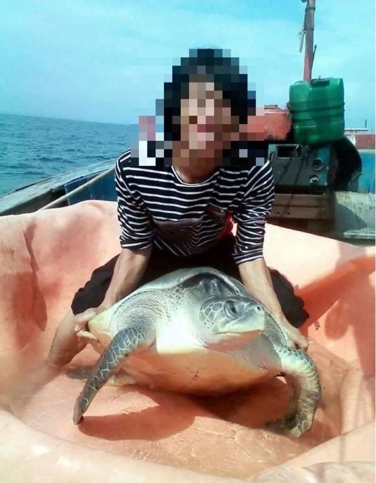 ban thit ca map qua facebook anh 3