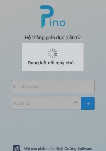 so lien lac Pino cua Nhat Cuong gap nhieu loi anh 1