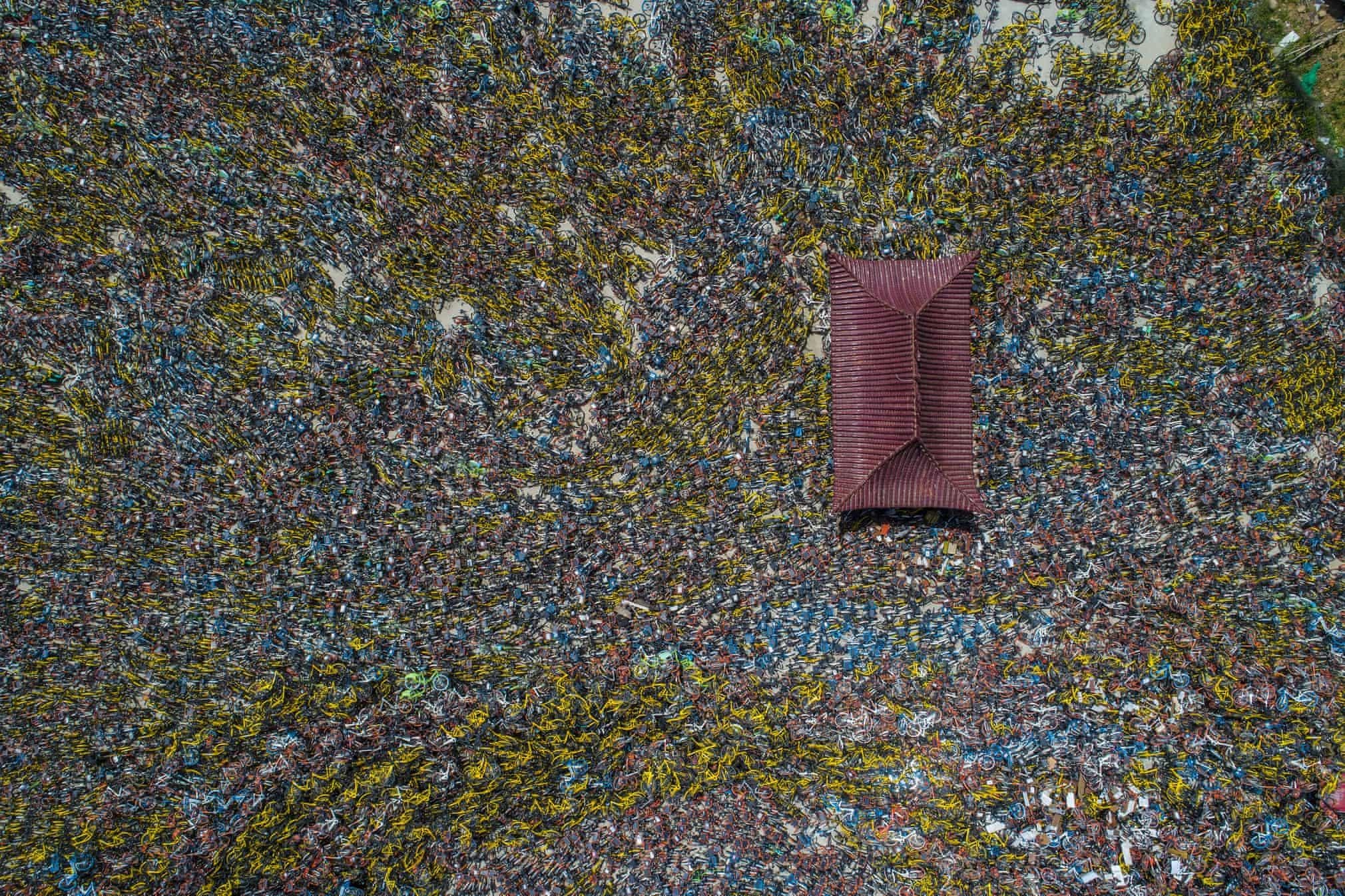 nghia dia xe dap tai Trung Quoc anh 2