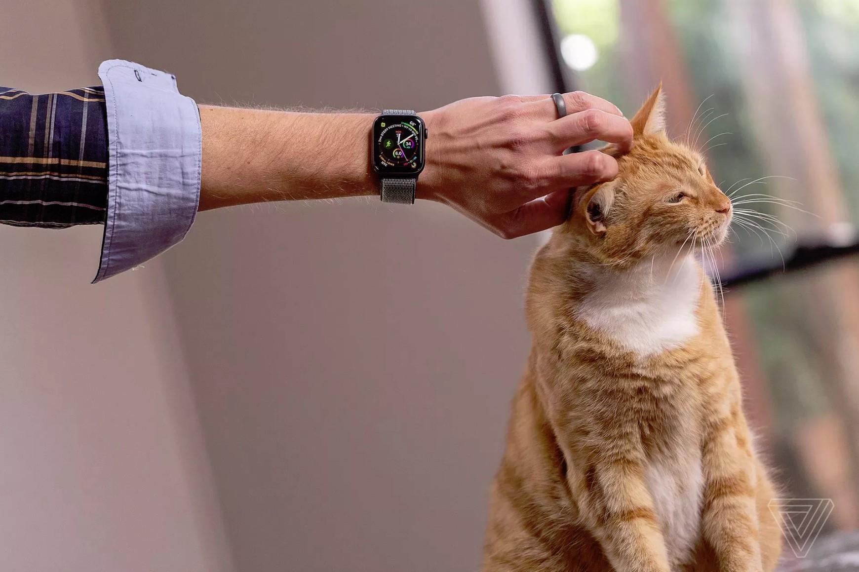 wwdc 2019 co gi hap dan anh 3