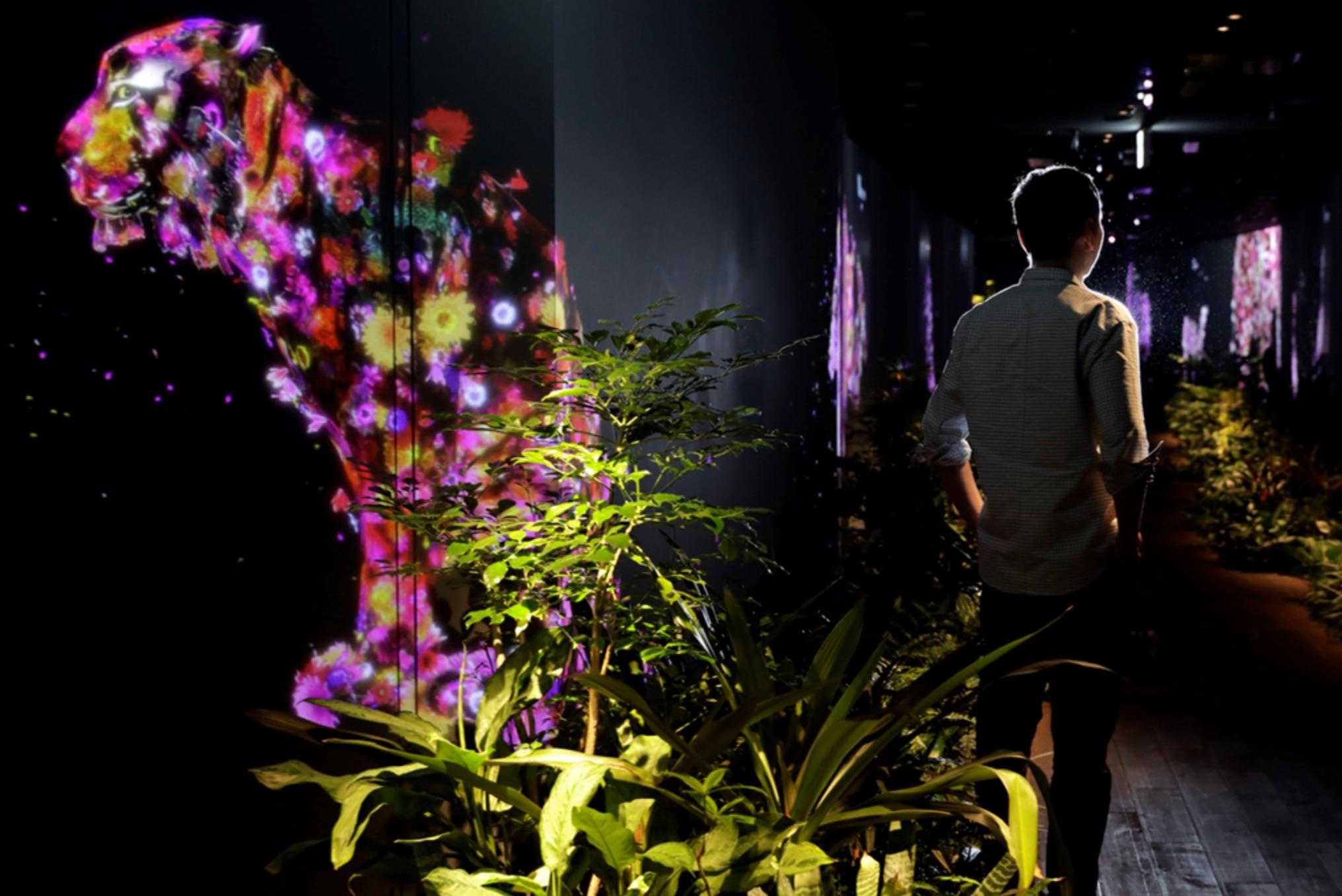 ong chu moi cua cong phuong la ai anh 4