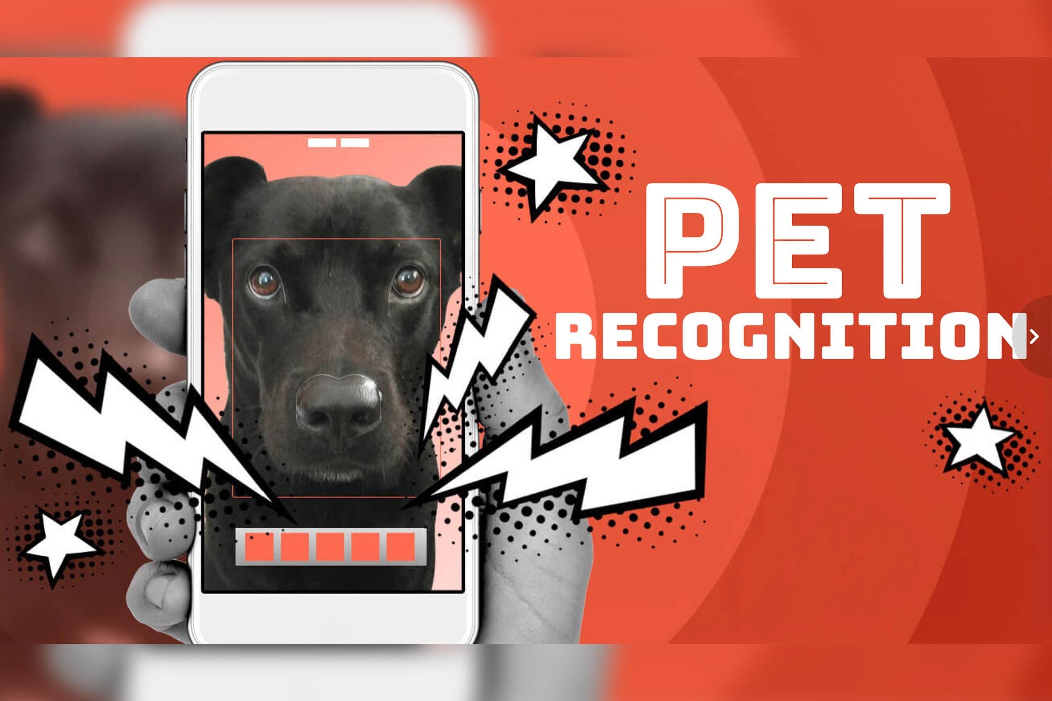 Cong nghe giup ban phan biet 2 chu cho hoac meo sinh doi hinh anh