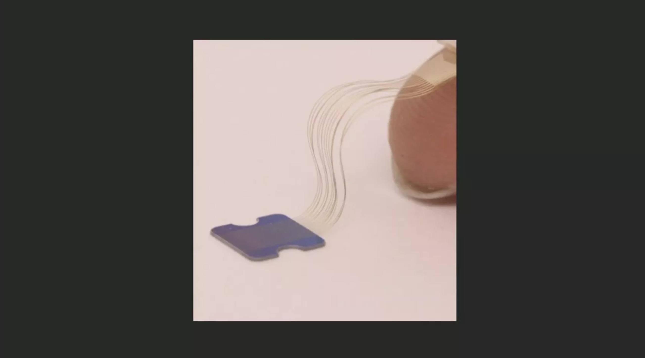 day la thiet bi doc nao nguoi cua Elon Musk anh 4