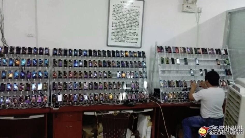 trai cay view cua trung quoc anh 2