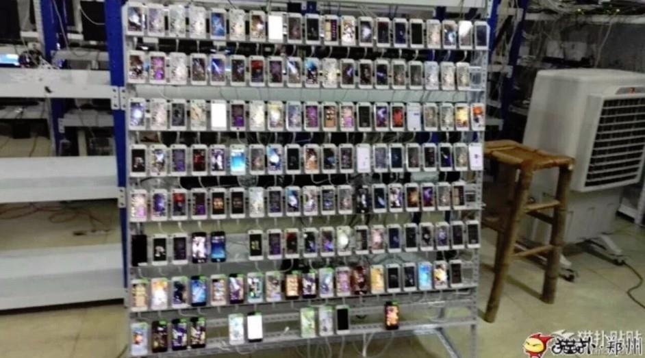 trai cay view cua trung quoc anh 1