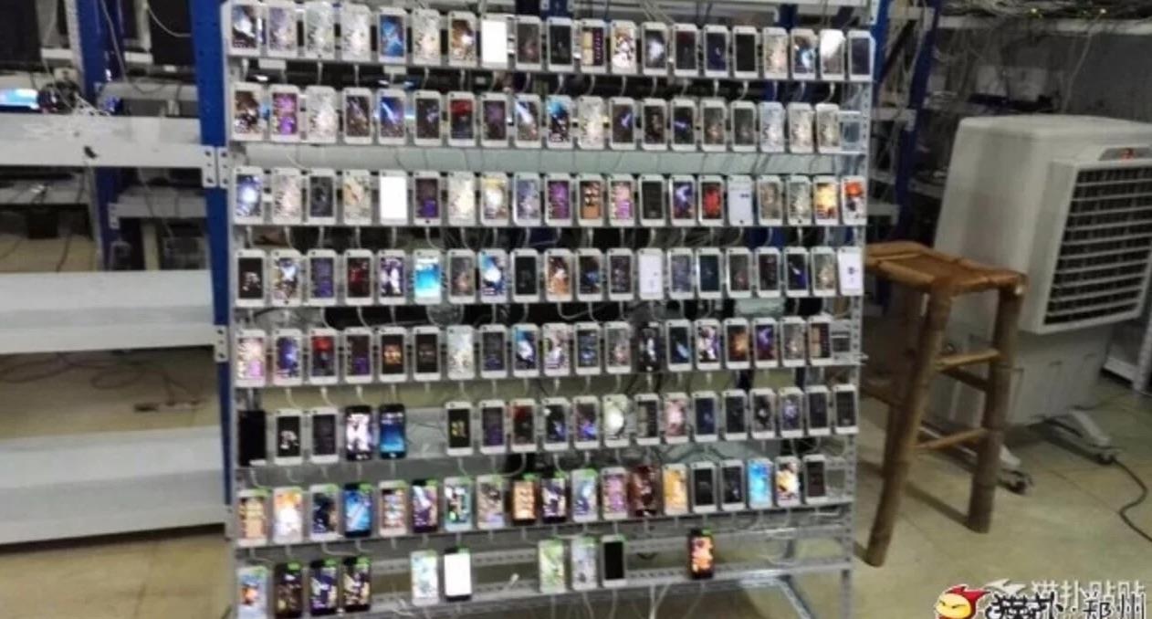 Day la nhung trang trai 'cay view' cua Trung Quoc hinh anh