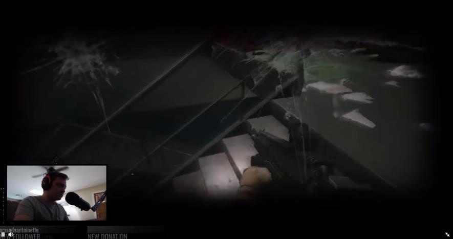 Game thu bi meo cung pha hong PC khi dang stream hinh anh