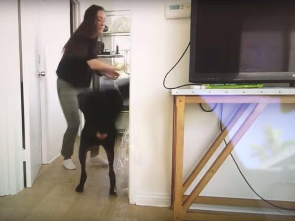 youtuber bi nem da vi bao hanh thu cung anh 1