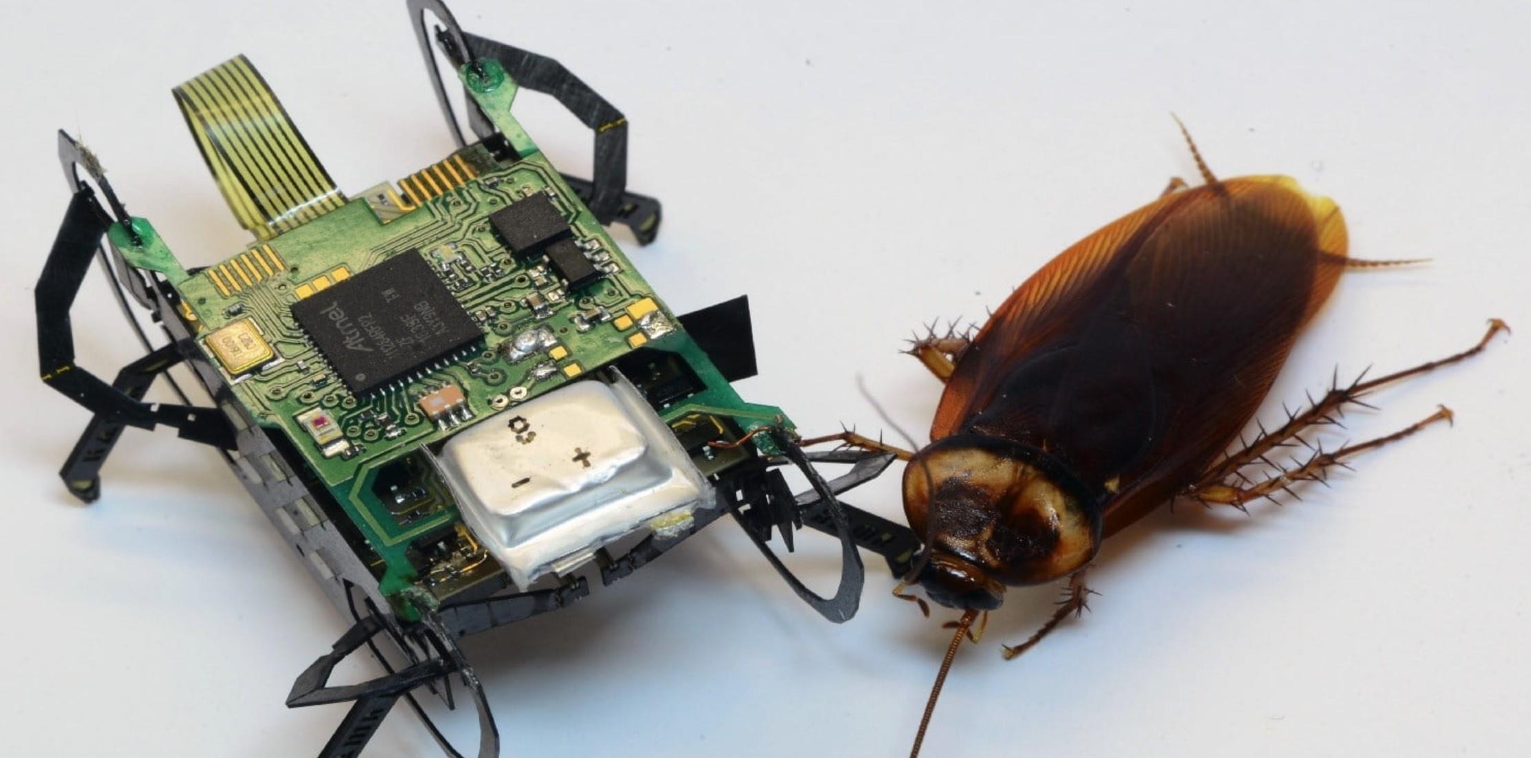 Robot gian voi kha nang sinh ton tuyet voi hinh anh