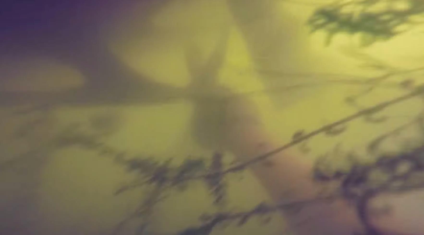 iphone x song sot sau 2 ngay nam duoi ho nuoc anh 1