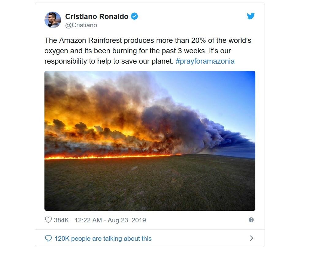 nguoi noi tieng noi gi ve chay rung amazon anh 1