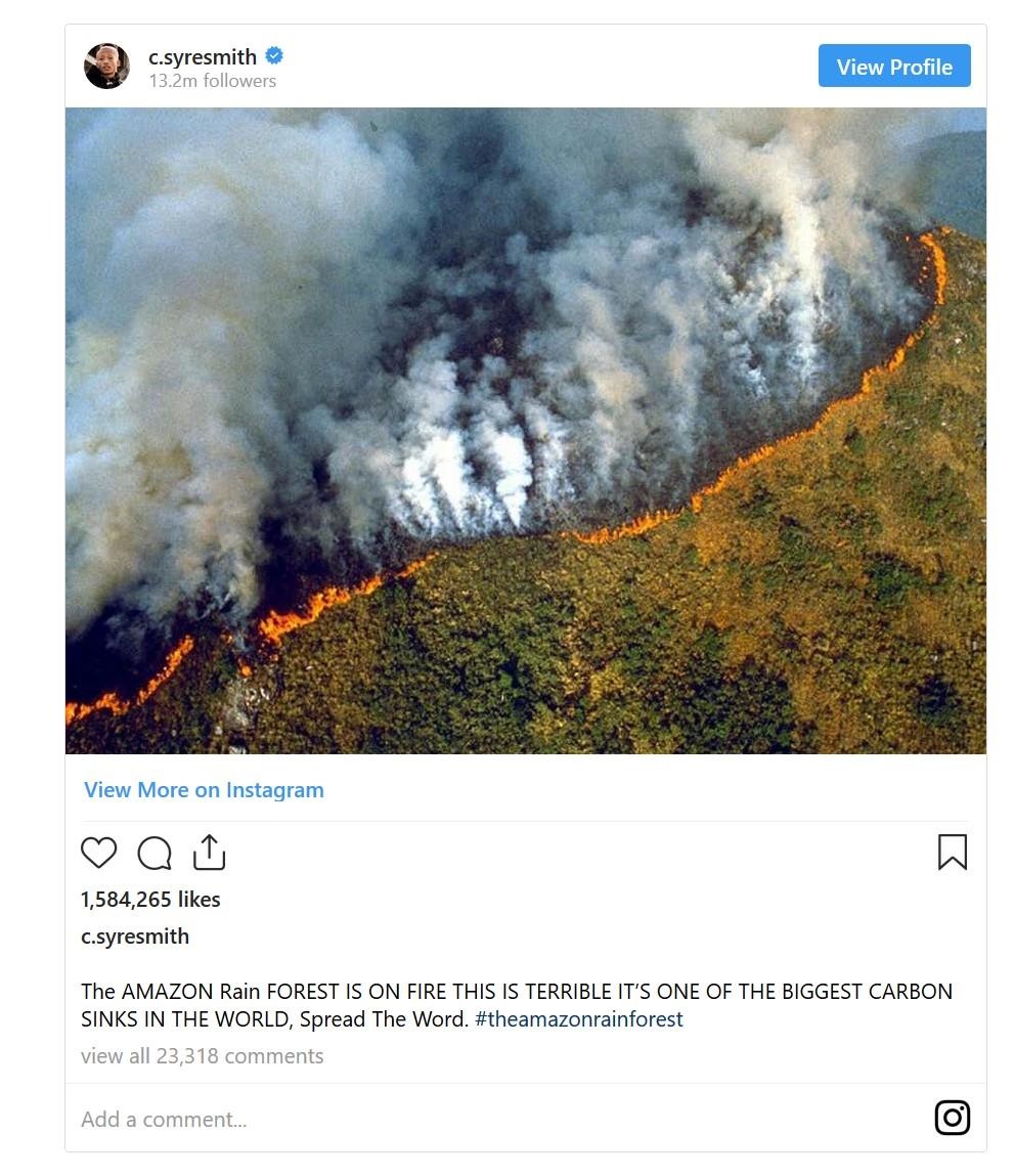 nguoi noi tieng noi gi ve chay rung amazon anh 2