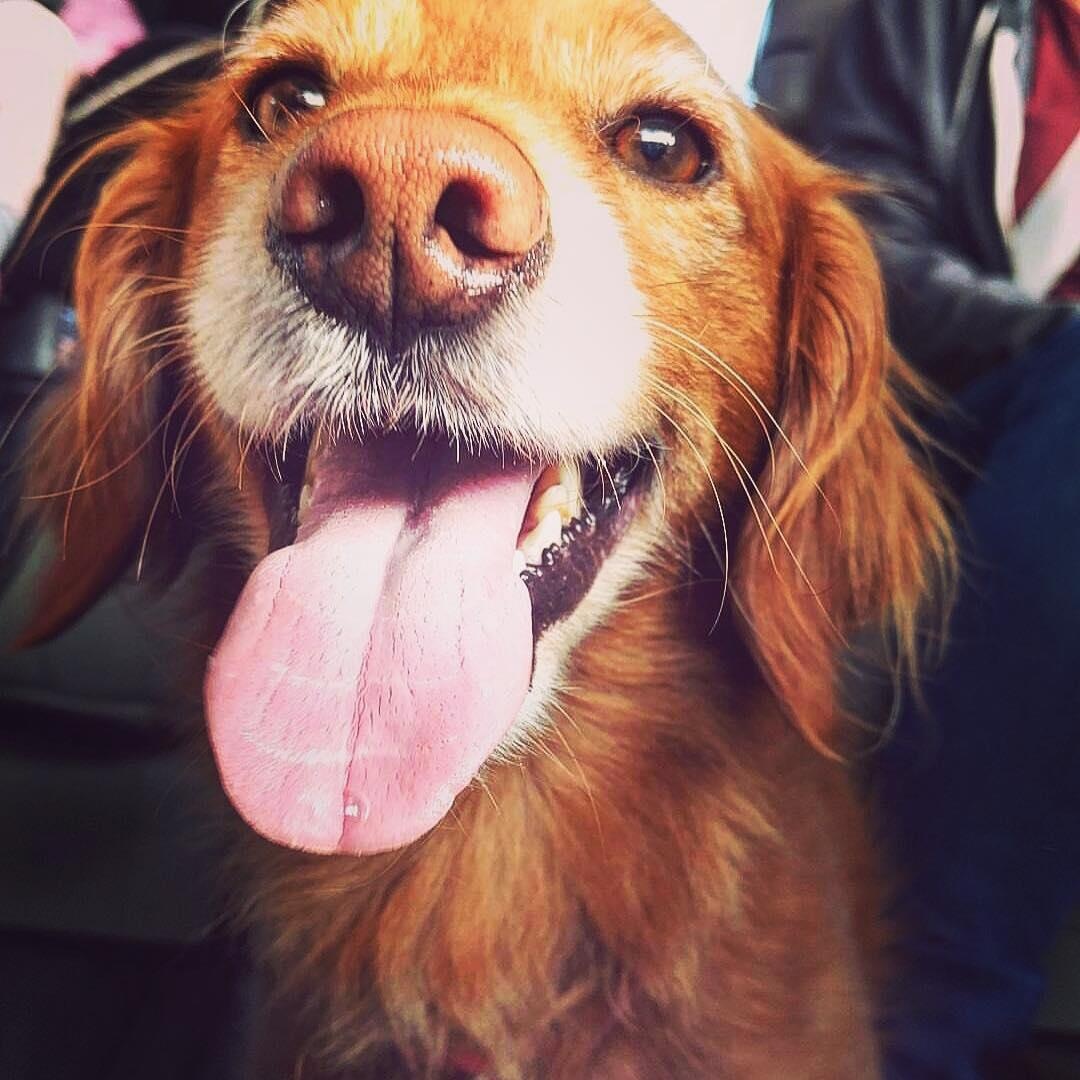 cac ceo cong nghe nuoi cho gi anh 11