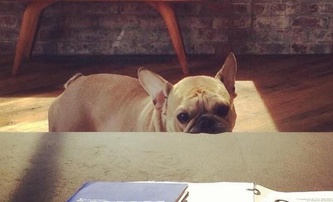 cac ceo cong nghe nuoi cho gi anh 9