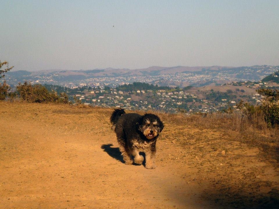 cac ceo cong nghe nuoi cho gi anh 7