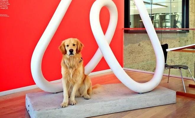 cac ceo cong nghe nuoi cho gi anh 4