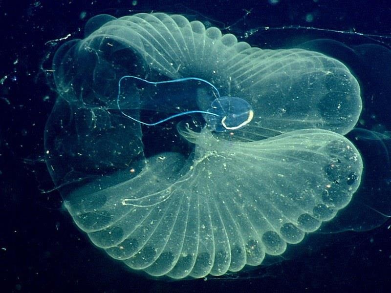 rác thải nhựa lắng đọng hàng chục năm ảnh 3 rac thai nhua lang dong hang chuc nam anh 3