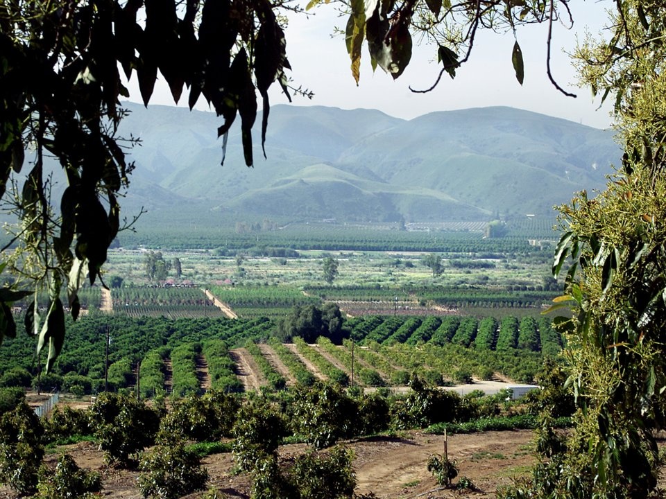 thung lung silicon ngay ay ra sao anh 3