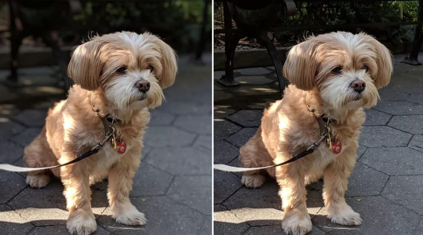 vi sao google pixel hap dan dan cong nghe anh 3