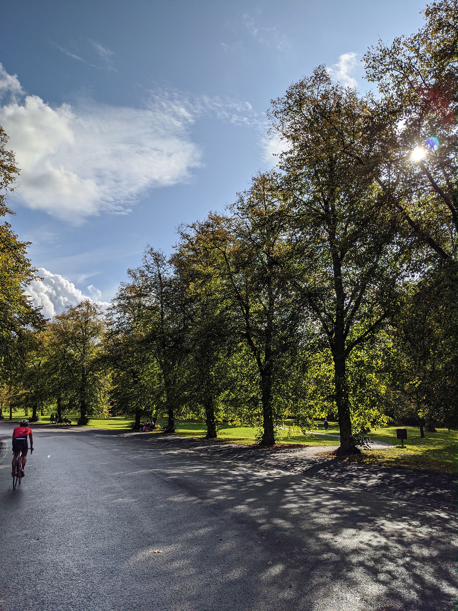 so anh chup pixel 4 va iPhone 11 anh 2