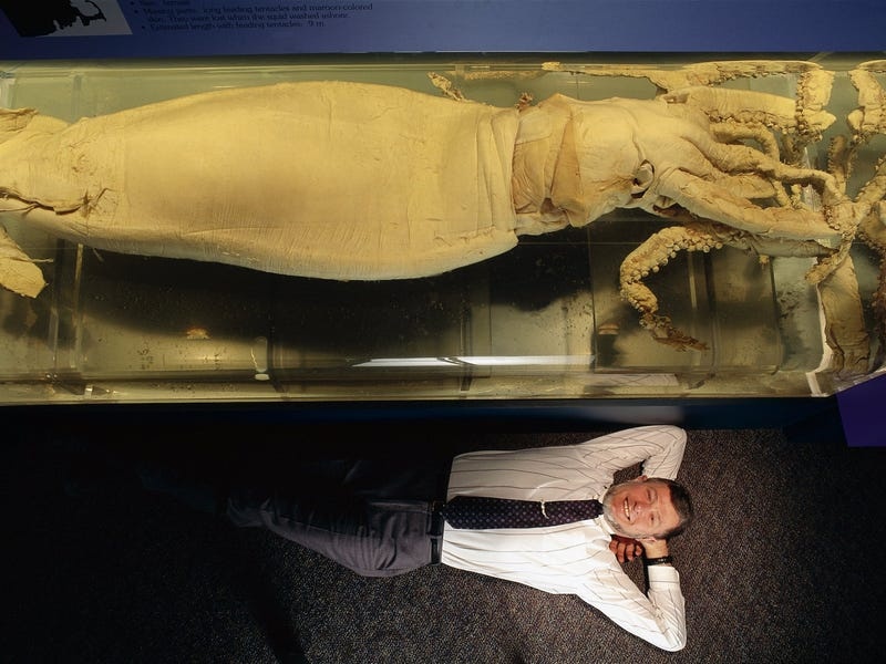 muc khong lo tu dau ra anh 12