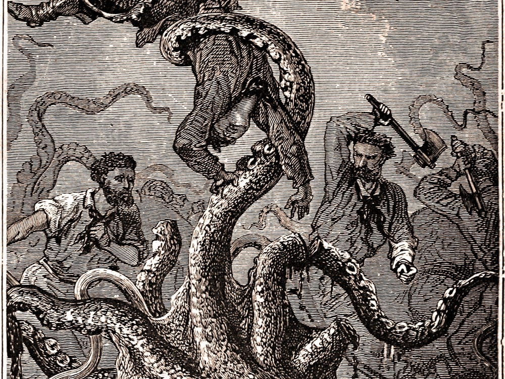 muc khong lo tu dau ra anh 1