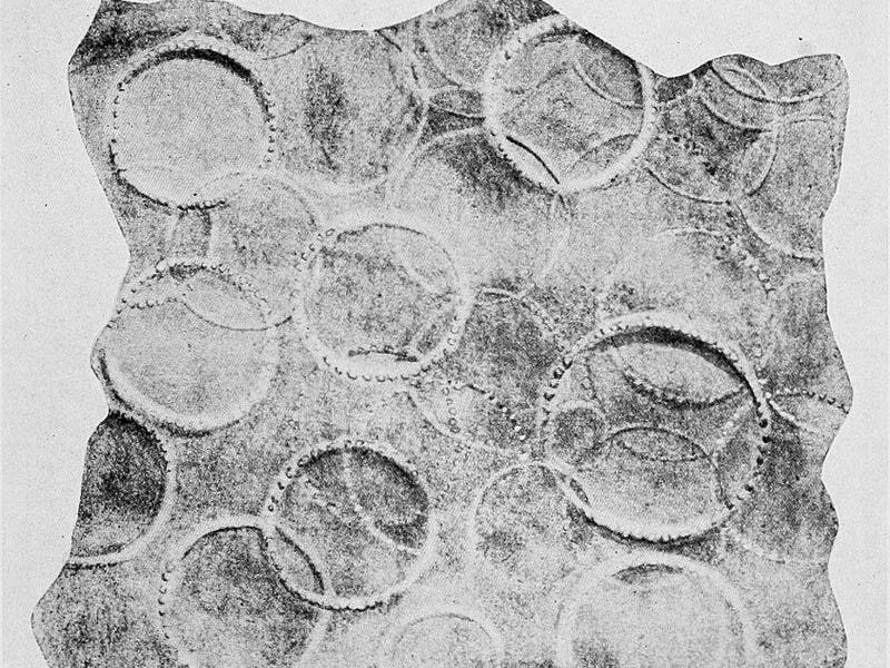 muc khong lo tu dau ra anh 3