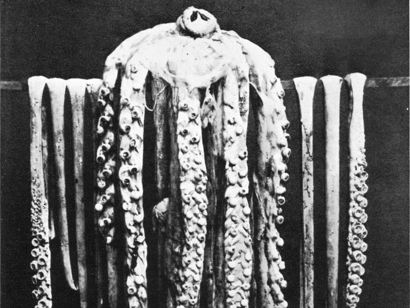 muc khong lo tu dau ra anh 4