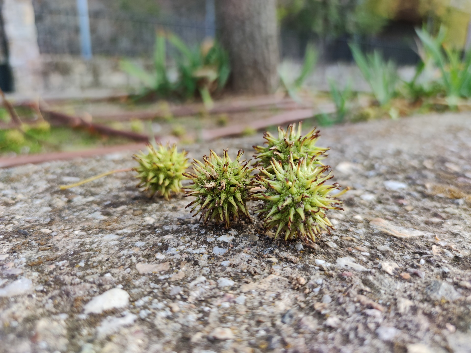 xiaomi mi note 10 telephoto camera ảnh 2 xiaomi mi note 10 telephoto camera anh 2