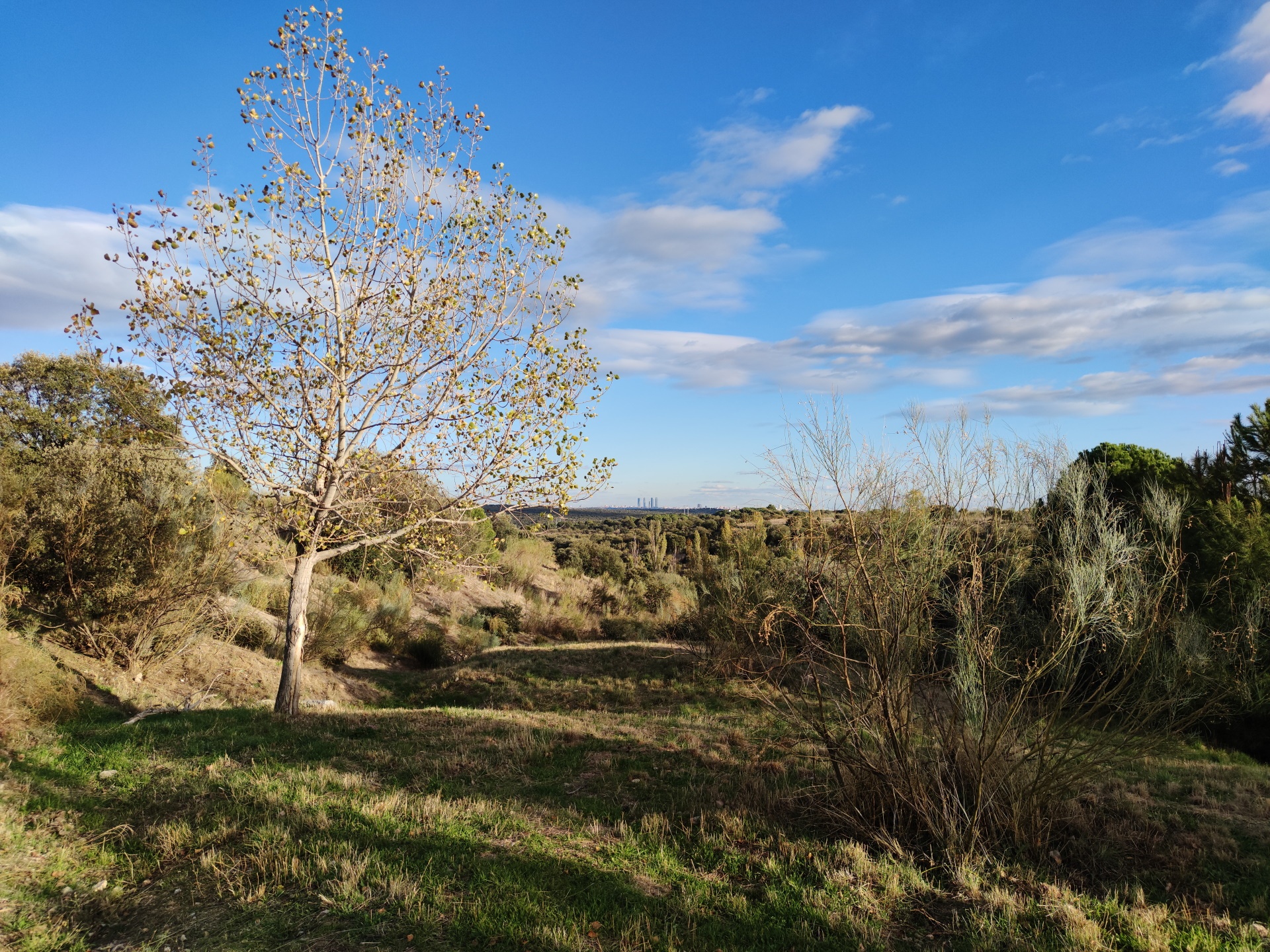 camera mi note 10 anh 2