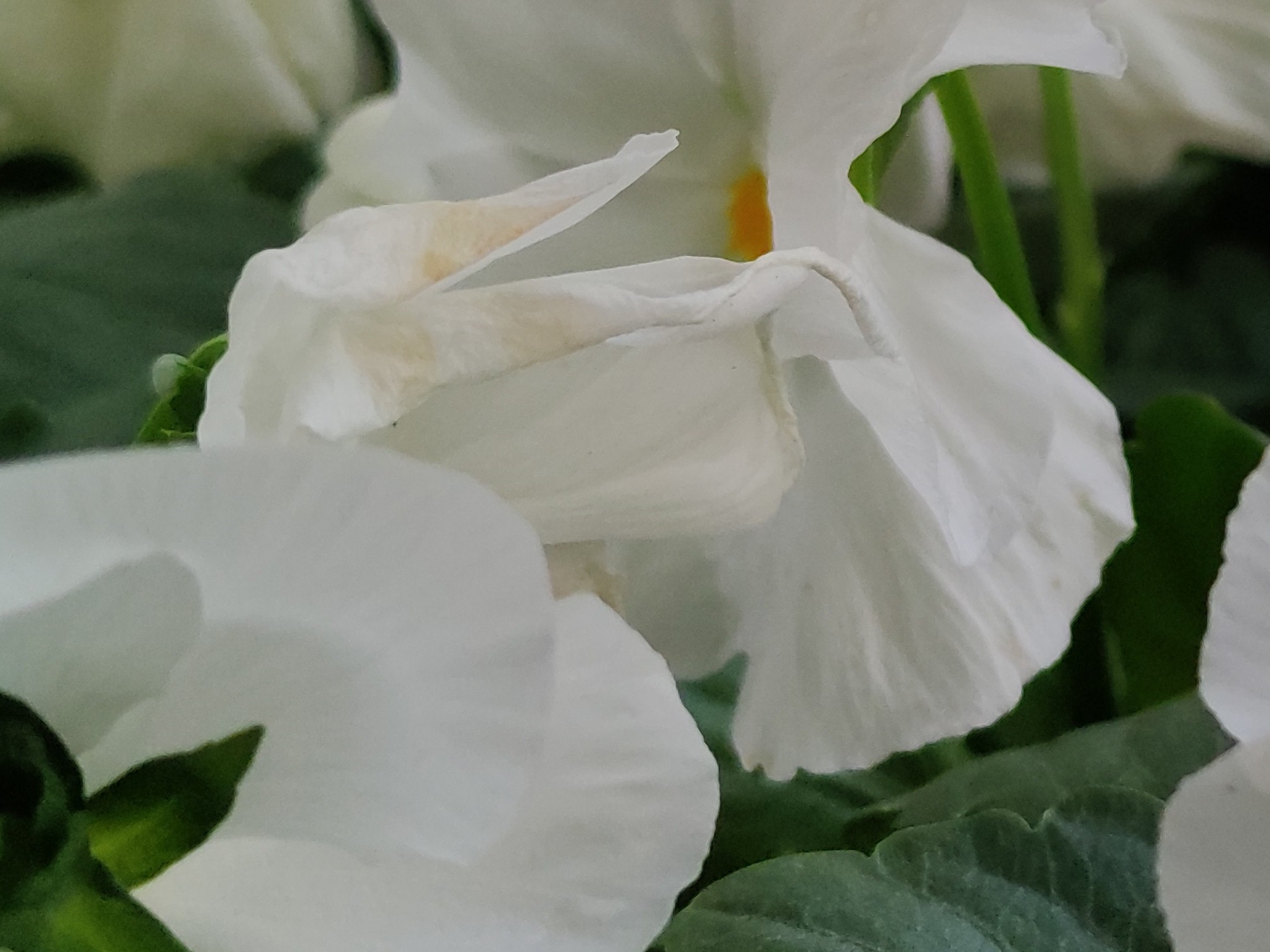 camera mi note 10 anh 9