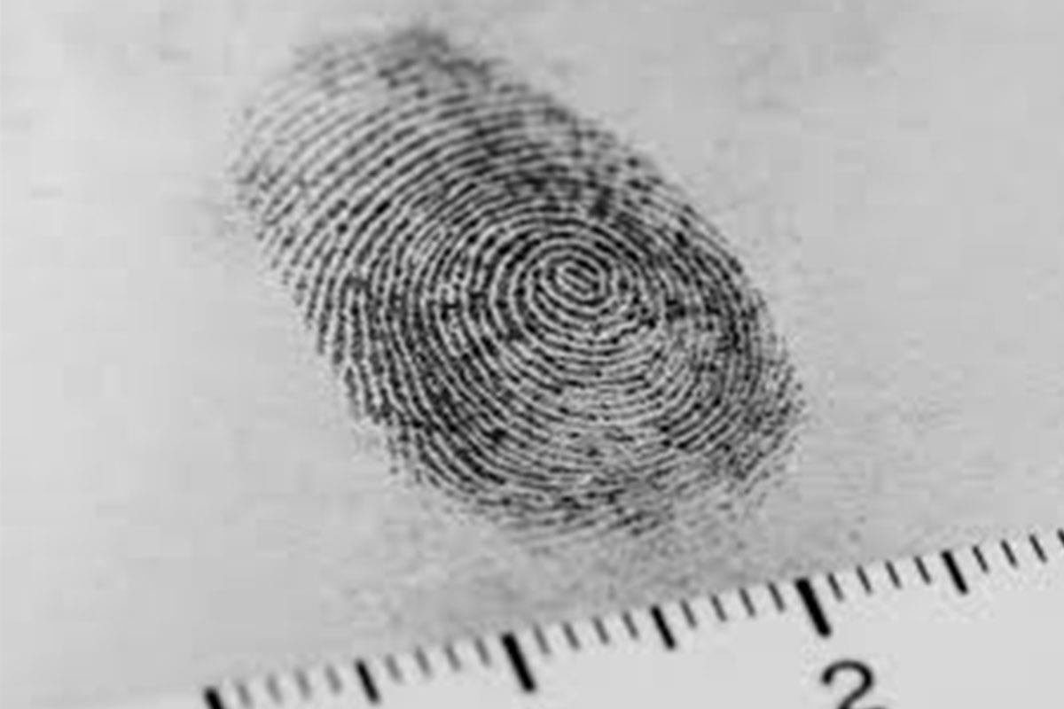 Dau van tay toi pham duoc thu thap nhu the nao? hinh anh