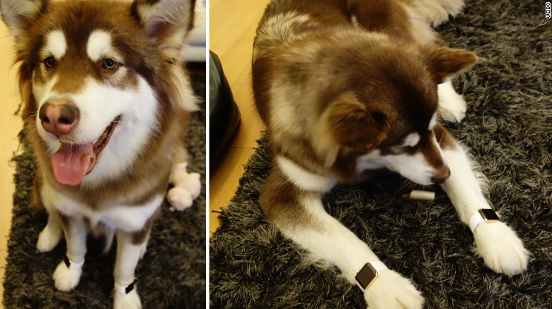 vương tư thông là ai ảnh 1 vuong tu thong la ai anh 1