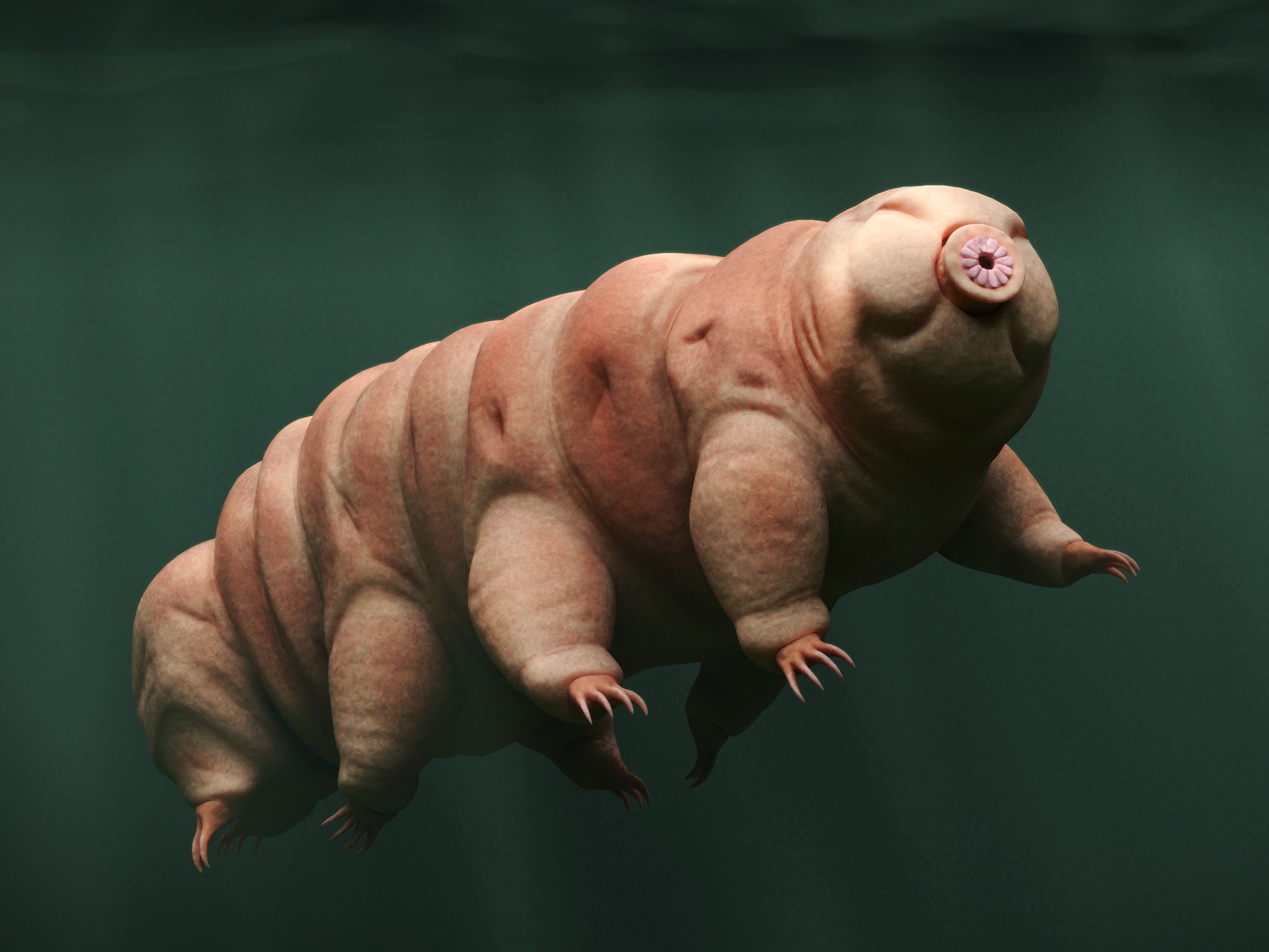 du hanh vu tru hoa tinh anh 1