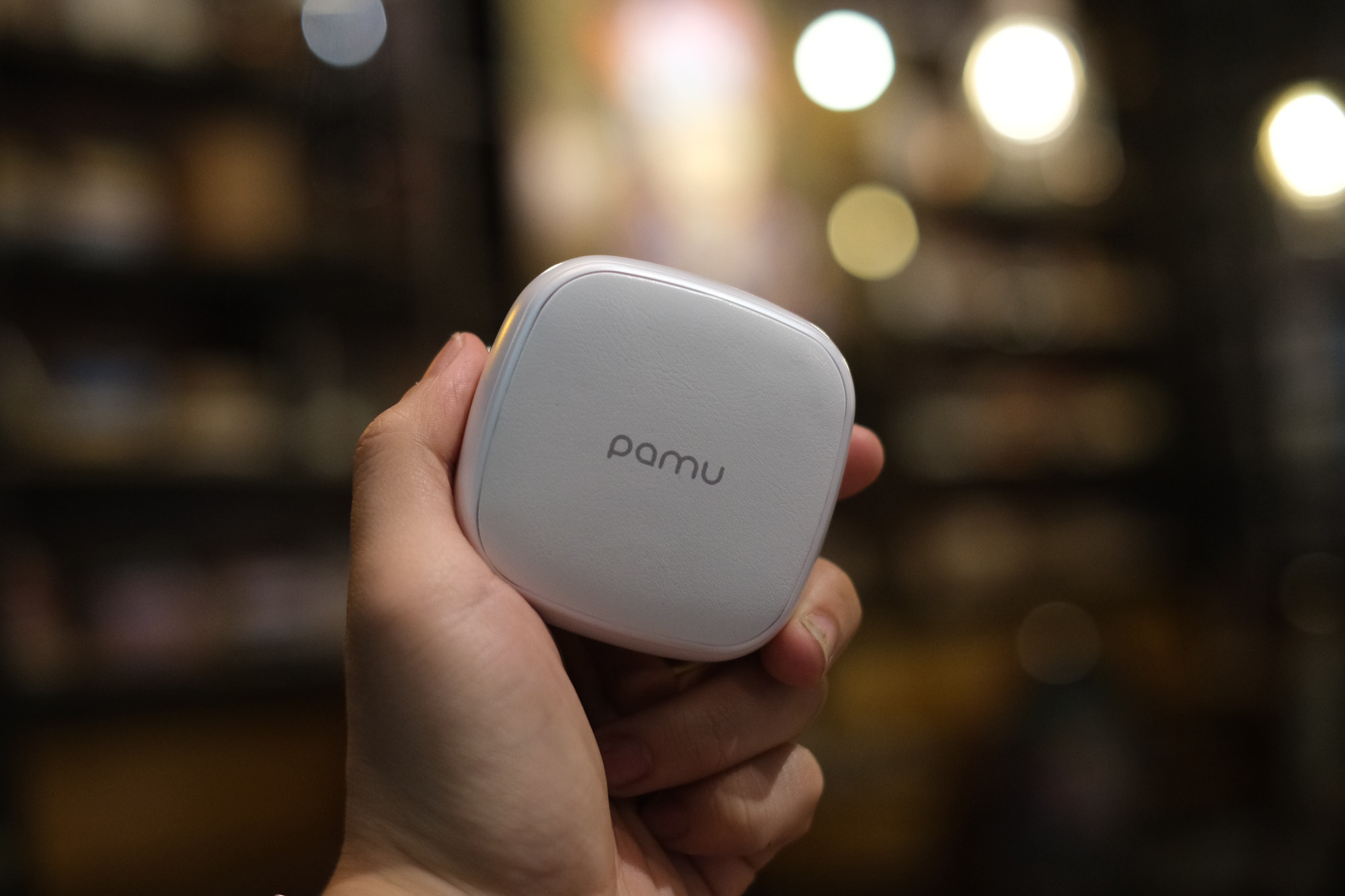 danh gia pamu slide anh 5